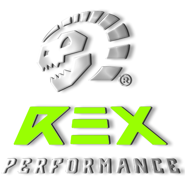 Logo Performance